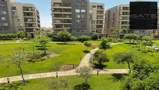 3 Bedroom Flat for Sale in New Cairo, Cairo - WhatsApp Image 2025-07-07 at 2.16. 23 PM (3). jpg