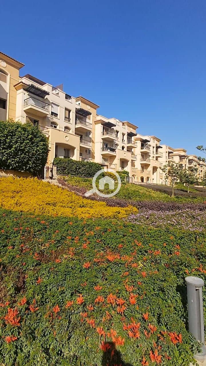 5 352a8592-3875-43e7-962e-33487b8b6233. jpg