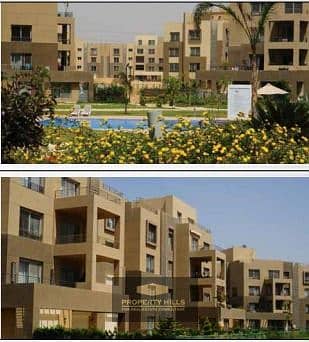 3 703d0573-b076-4908-8883-0197116ab67d. jpg