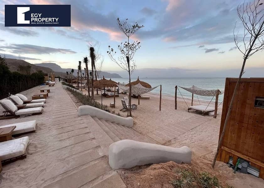 6 seashell (3). jpeg