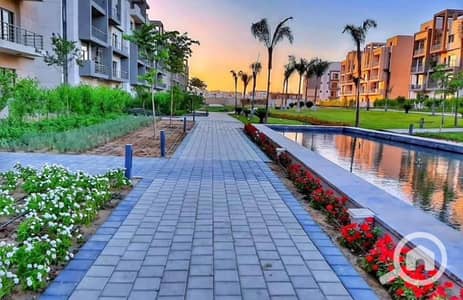 1 Bedroom Flat for Sale in New Cairo, Cairo - eefc0a68-eb78-41f8-a0fa-bc2adda1e316. jpg 1 Bedroom Flat for Sale in New Cairo, Cairo - eefc0a68-eb78-41f8-a0fa-bc2adda1e316. jpg