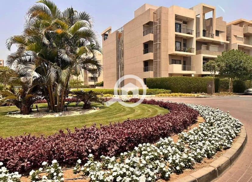 2 9237a671-691b-4e72-b104-3c20da833031. jpg