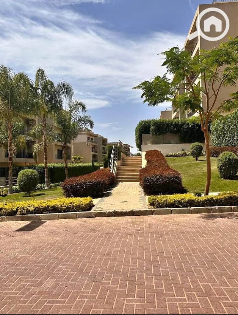 3 7f11db6f-def1-4038-b8b1-ef215ed621fb. jpg