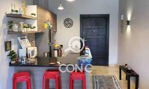2 Bedroom Apartment for Rent in New Cairo, Cairo - Untitled design (38). png