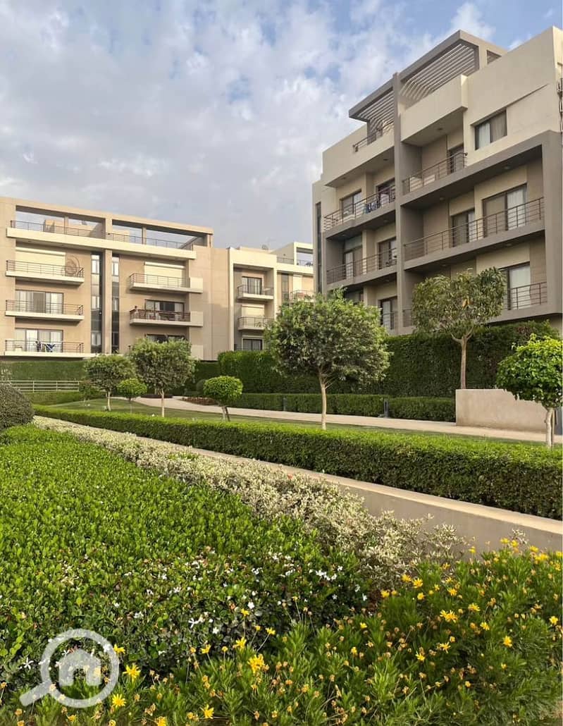 5 6172cc30-06af-4bdc-8ef4-8bfa33b0552d. jpg