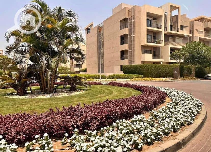 6 9237a671-691b-4e72-b104-3c20da833031. jpg