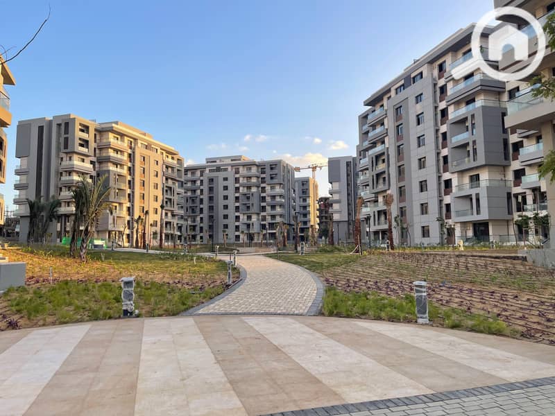 2 العاصمة (21). jpg