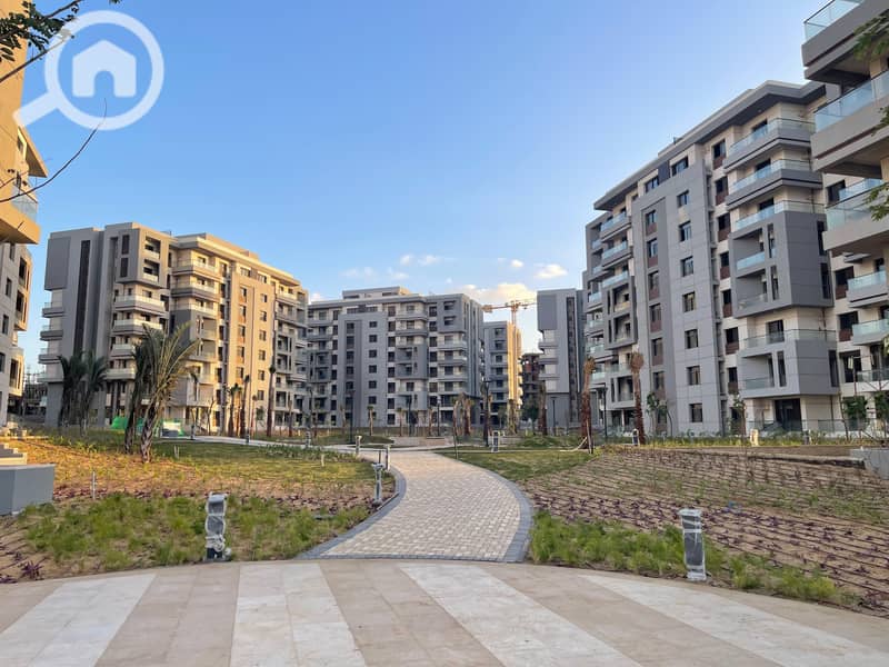 3 العاصمة (22). jpg