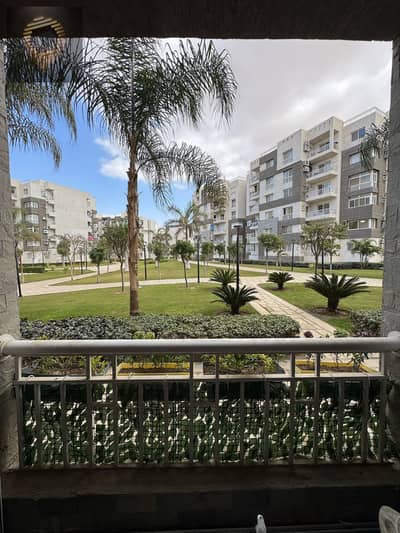 4 Bedroom Apartment for Sale in Madinaty, Cairo - WhatsApp Image 2025-10-12 at 15.54. 53_8738abcd. jpg