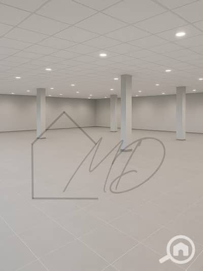 Retail for Rent in Smoha, Alexandria - WhatsApp Image 2025-10-23 at 4.43. 48 PM. jpeg Retail for Rent in Smoha, Alexandria - WhatsApp Image 2025-10-23 at 4.43. 48 PM. jpeg