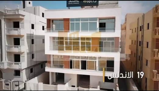 3 Bedroom Flat for Sale in New Cairo, Cairo - WhatsApp Image 2025-10-22 at 16.38. 37_d3e38234. jpg