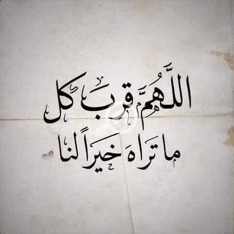 8 images (3). jpeg. jpg