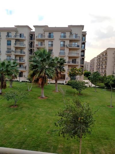 2 Bedroom Flat for Sale in New Cairo, Cairo - WhatsApp Image 2025-10-12 at 2.23. 54 PM (8). jpeg 2 Bedroom Flat for Sale in New Cairo, Cairo - WhatsApp Image 2025-10-12 at 2.23. 54 PM (8). jpeg