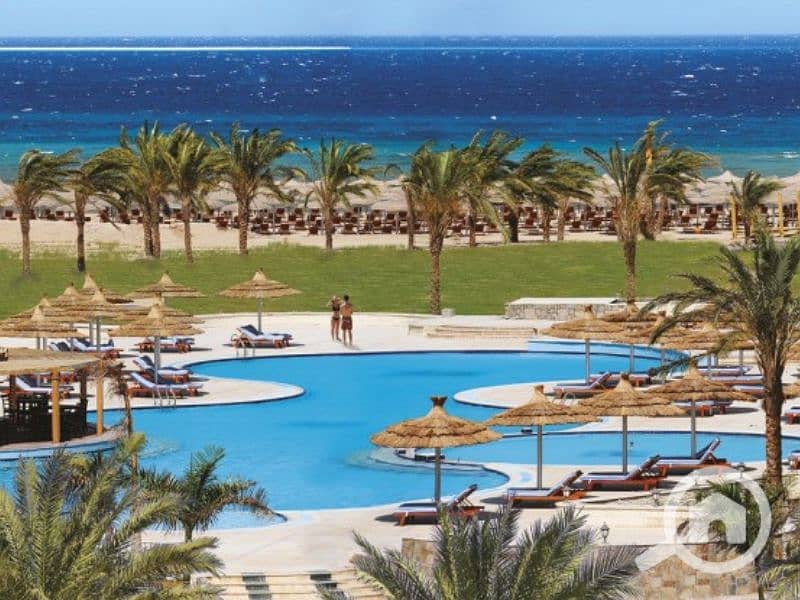 Untitled design - 2023-07-17T134124.731. png Untitled design - 2023-07-17T134124.731. png