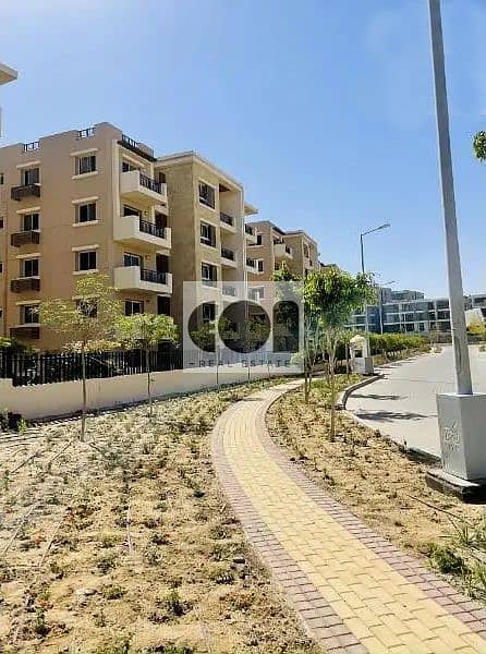 2 138329667-800x600. jpg