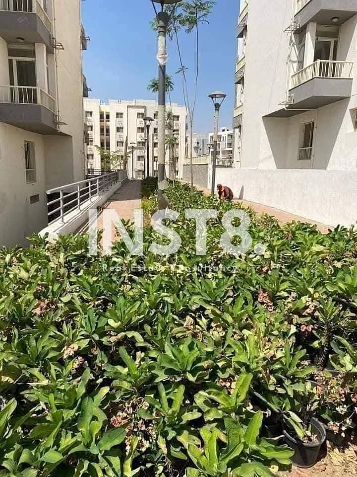 8 5a271342-ef35-4248-a5a2-b24ca6f6e0e3. jpeg