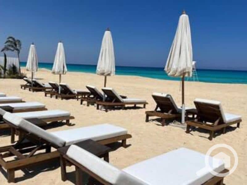 8 Untitled design - 2023-05-02T150908.084. png