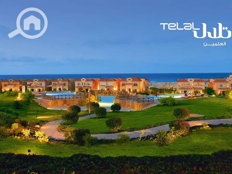 4 Untitled design - 2023-07-04T132346.883. png