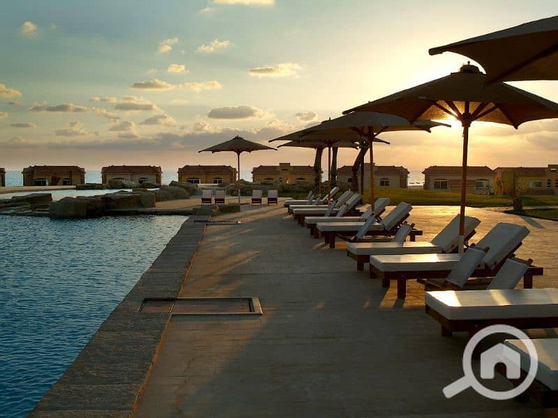 5 Untitled design - 2023-07-04T132358.104. png