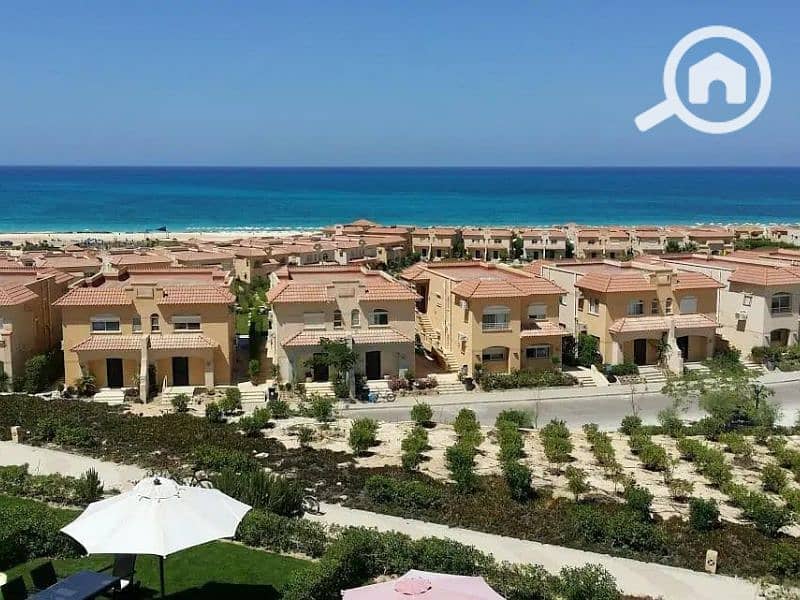 6 Untitled design - 2023-07-04T132411.132. png