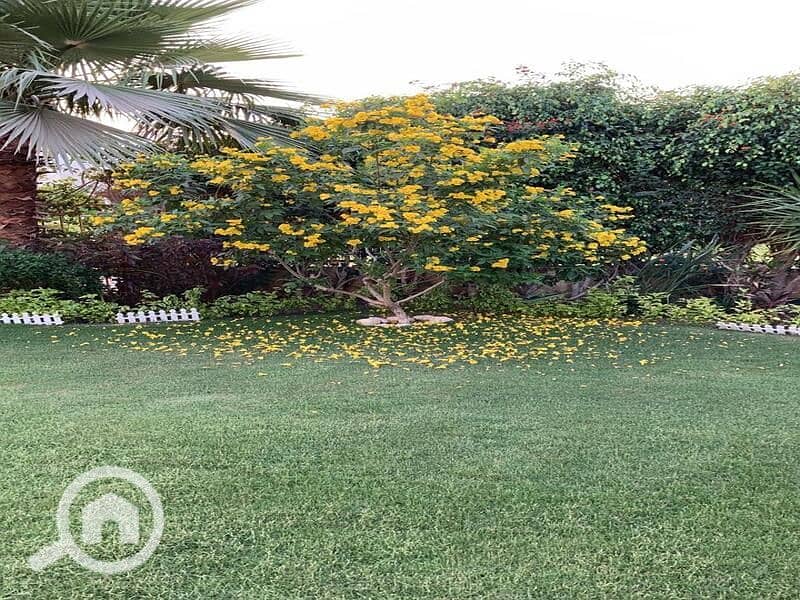 4 WhatsApp Image 2025-02-24 at 3.33. 43 PM. jpeg