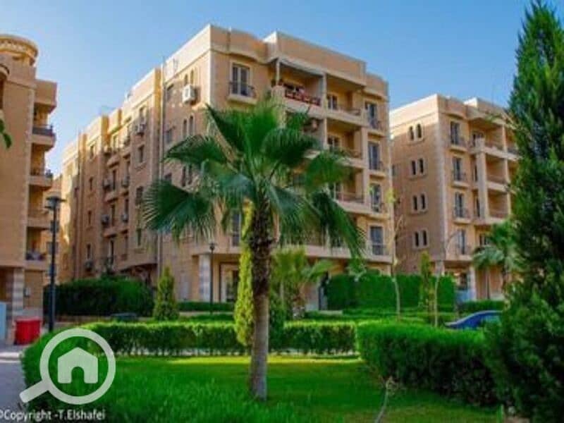 7 WhatsApp Image 2024-09-07 at 2.16. 17 PM (1). jpeg