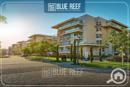 شقة 2 غرفة نوم للبيع في القاهرة الجديدة، القاهرة - WhatsApp Image 2025-05-26 at 4.44. 42 PM. jpeg شقة 2 غرفة نوم للبيع في القاهرة الجديدة، القاهرة - WhatsApp Image 2025-05-26 at 4.44. 42 PM. jpeg