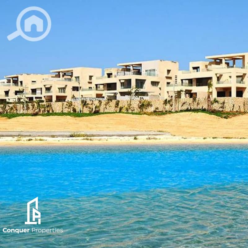 13 Untitled design (1). png