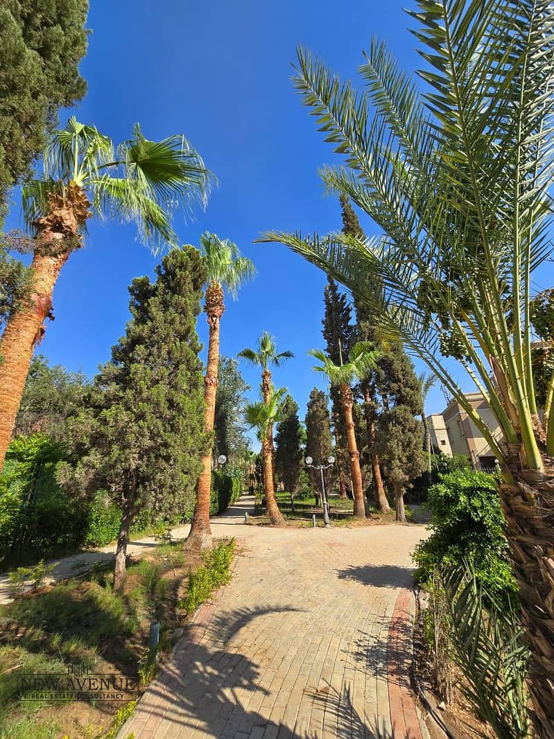 5 WhatsApp Image 2025-10-23 at 17.59. 26 (1). jpeg