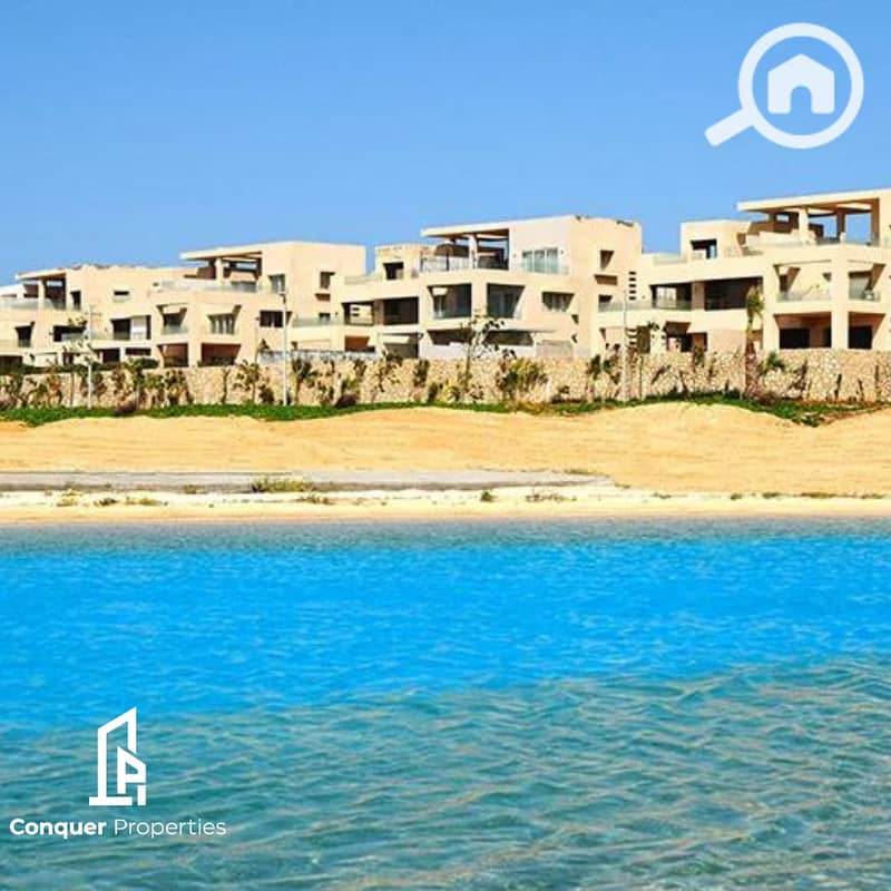 14 Untitled design (1). png