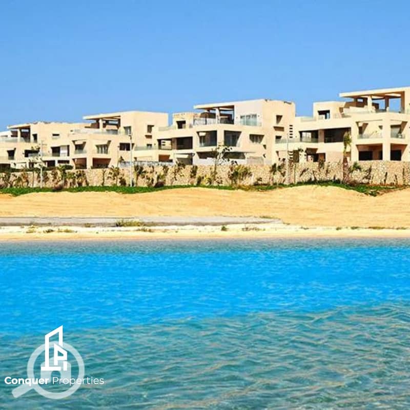 13 Untitled design (1). png