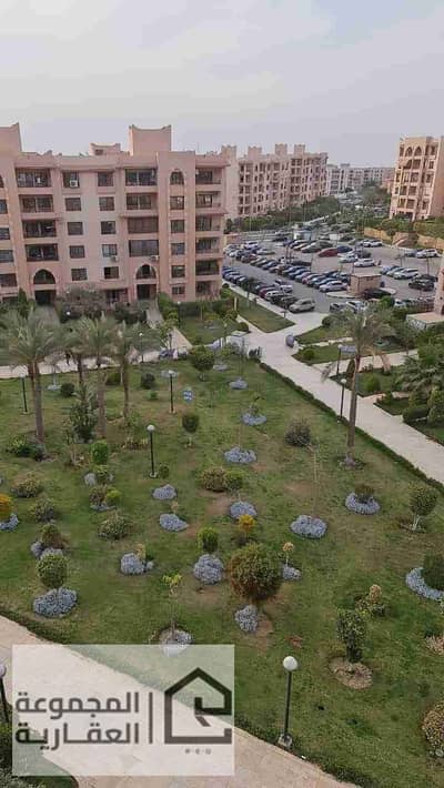 3 Bedroom Apartment for Rent in New Cairo, Cairo - 1000036011. jpg 3 Bedroom Apartment for Rent in New Cairo, Cairo - 1000036011. jpg