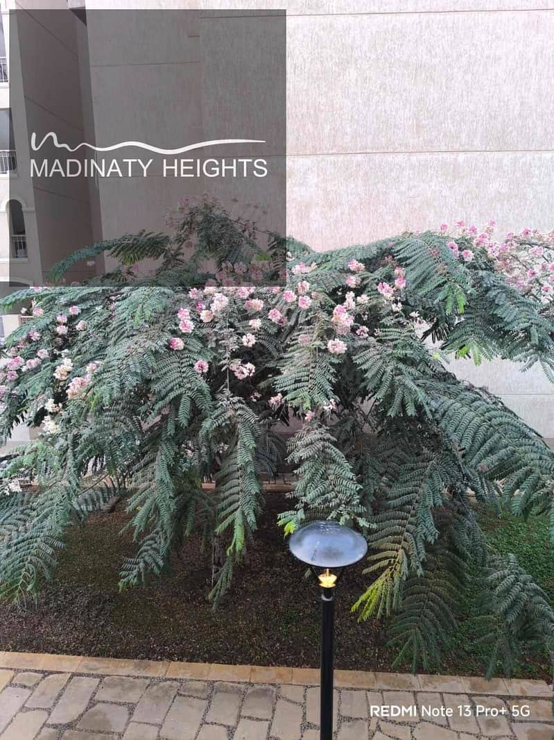 4 0368fd49-59f9-4519-a9b6-2f6f2b383a4d. jpg