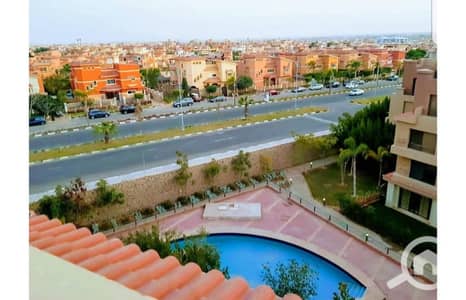 1 Bedroom Flat for Rent in Sheikh Zayed, Giza - IMG-20251012-WA0220. jpg 1 Bedroom Flat for Rent in Sheikh Zayed, Giza - IMG-20251012-WA0220. jpg