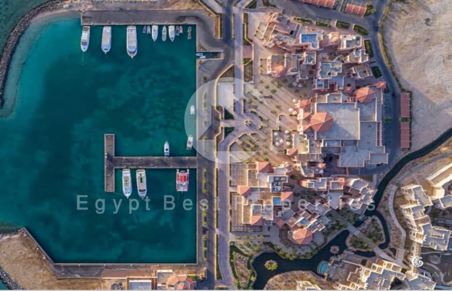 4 WhatsApp Image 2025-07-08 at 4.17. 11 PM (1). jpeg