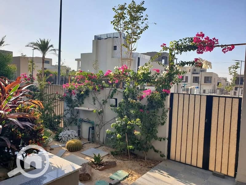 4 484753081_684824094109602_8637281146410393227_n. jpg