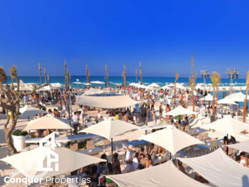 9 Untitled design - 2023-08-13T121702.853 (11). png