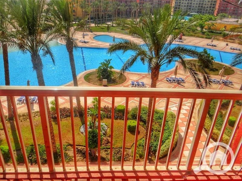 WhatsApp Image 2024-10-06 at 23.21. 52_da16e3ff. jpg