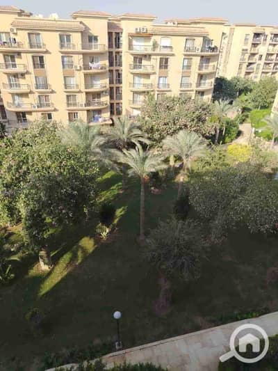 شقة 3 غرف نوم للايجار في القاهرة الجديدة، القاهرة - 1001650638. jpg شقة 3 غرف نوم للايجار في القاهرة الجديدة، القاهرة - 1001650638. jpg