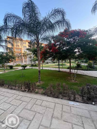 4 Bedroom Apartment for Sale in Madinaty, Cairo - IMG_6763. jpg