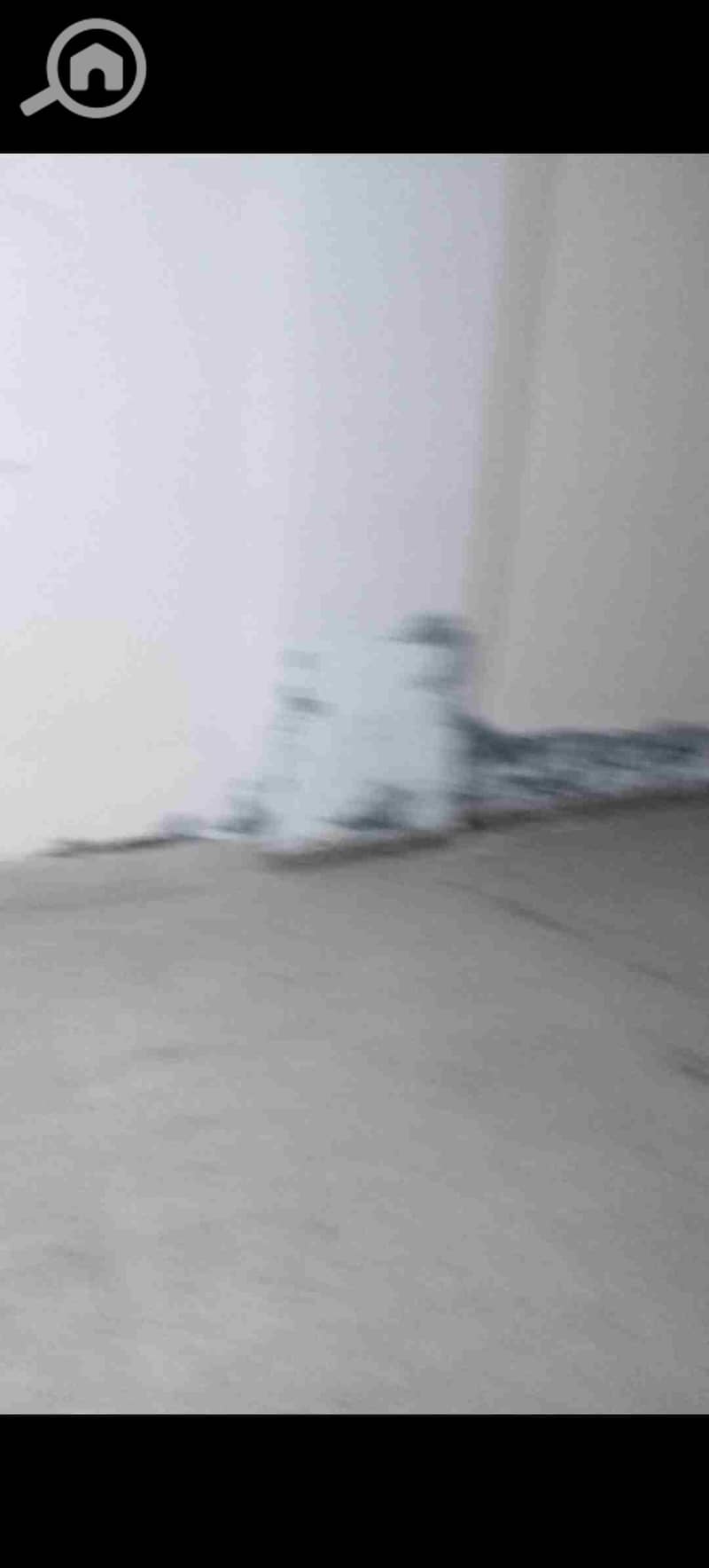 10 1000339390. jpg