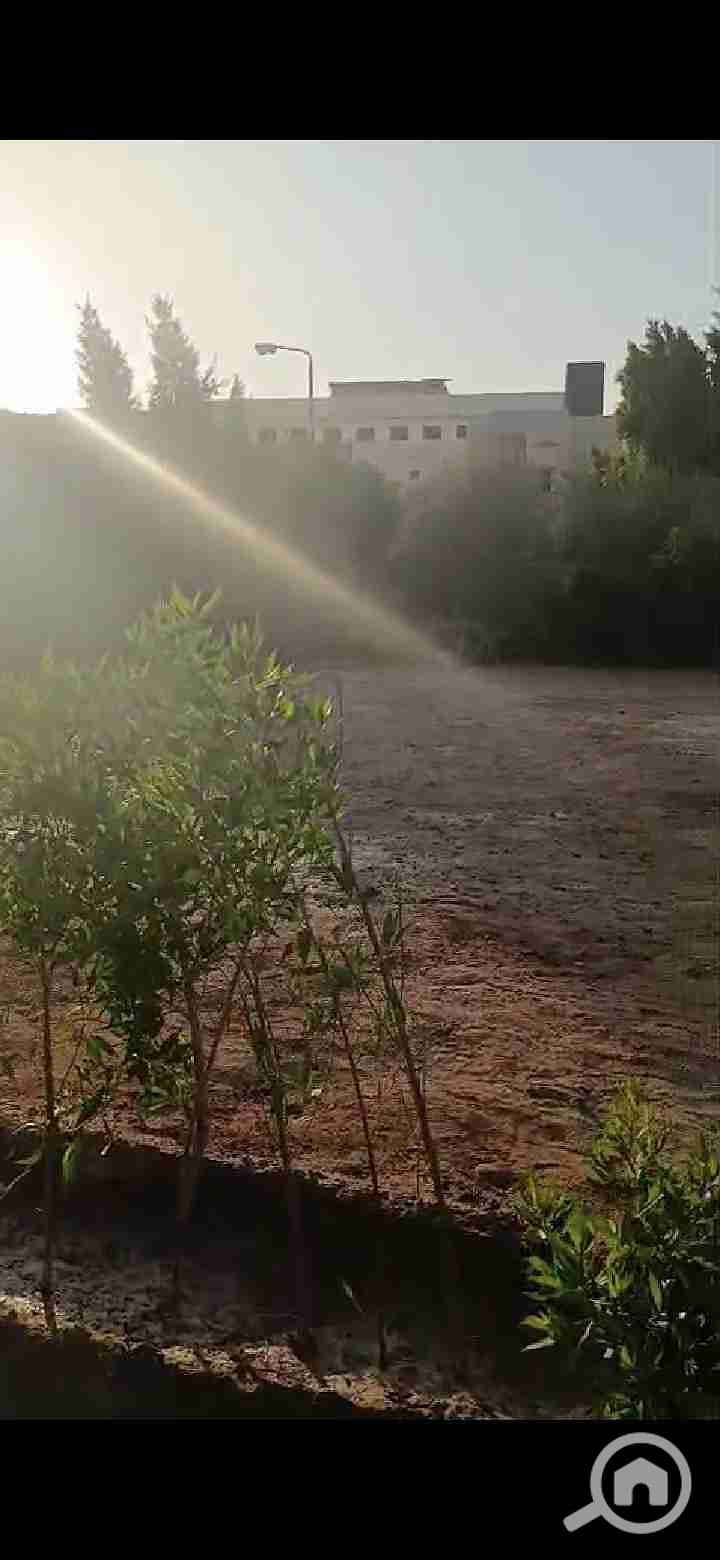 3 Screenshot_20251023_204819_com. whatsapp. w4b. jpg