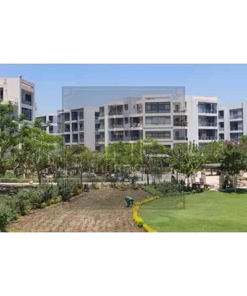 6 68bed4ddac4d5981741793. jpg