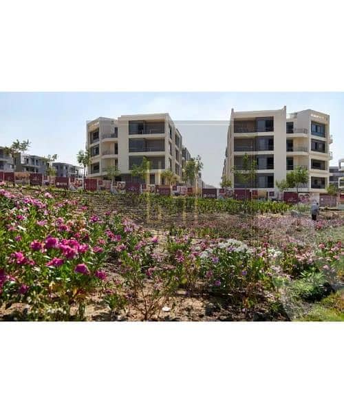 7 6138b3675768e137851391. jpg