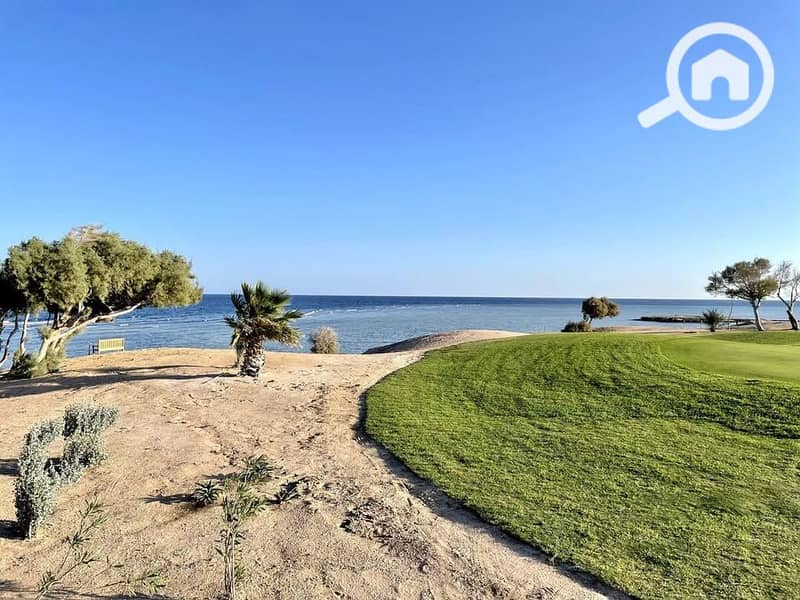 3 470062972_3703604266617541_2057965168096245213_n. jpg