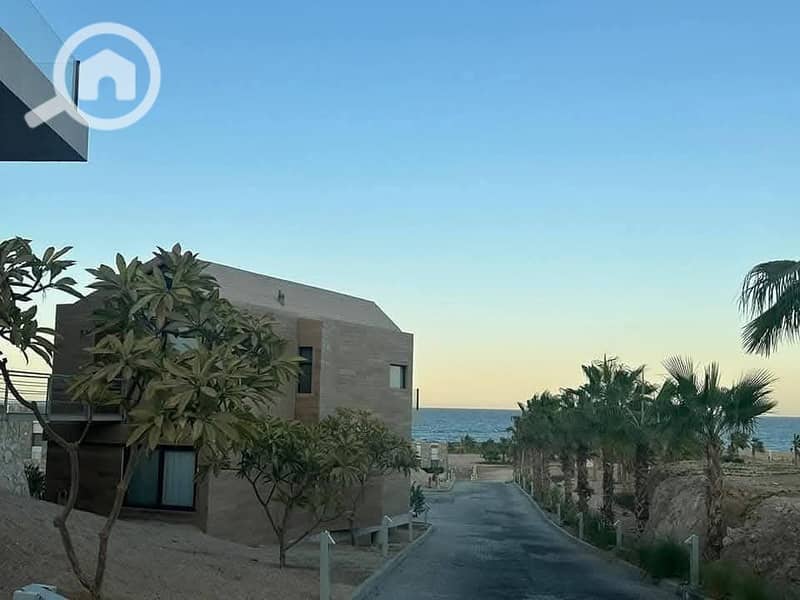 4 470102234_1294752031707291_3499206229481450650_n. jpg