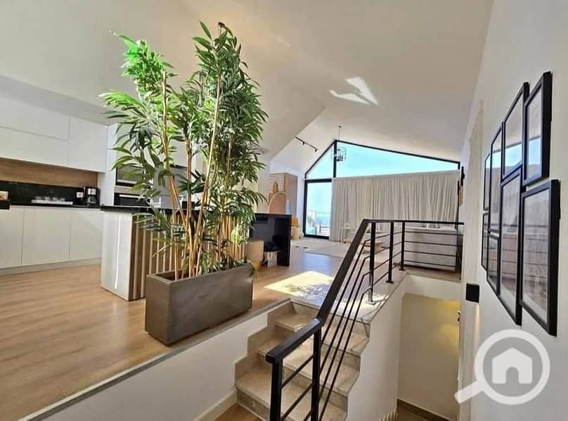 11 491731618_558917677256760_1849270624412252075_n. jpg