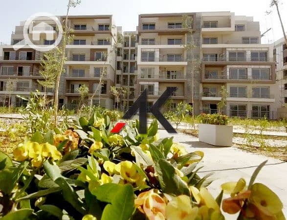 15 WhatsApp Image 2023-08-27 at 2.43. 27 PM. jpeg