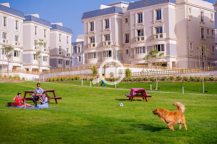 3 WhatsApp Image 2025-10-07 at 2.02. 58 PM (1). jpeg