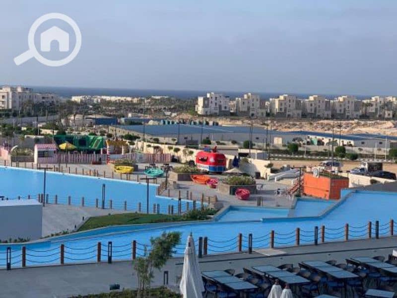 4 Untitled design - 2023-07-17T134049.717 - Copy. png